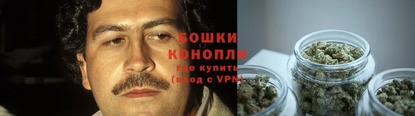 spice Алексин