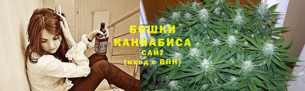 spice Алексин
