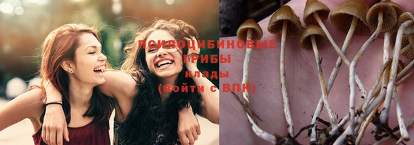 герыч Алексеевка