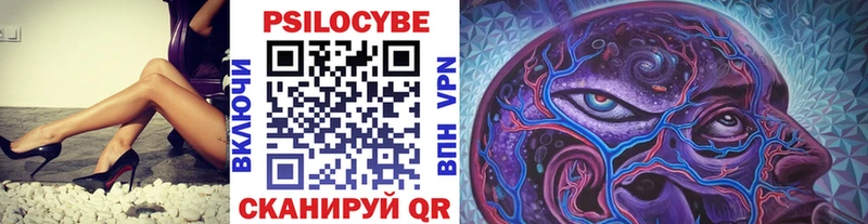 закладка Новомосковск Псилоцибиновые грибы ЛСД